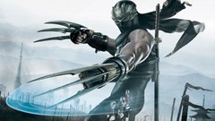 Digital art video games Ninja Gaiden 2