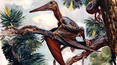 Dinosaurs artwork pterodactyls Zdenek