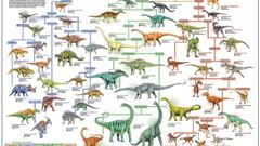 Dinosaurs Evolution infographics