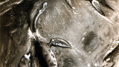 Dinosaurs illustrations Zdenek Burian