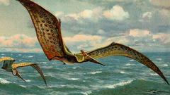 Dinosaurs pterodactyls water