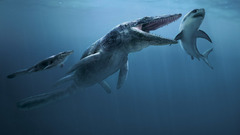 Dinosaurs Sharks underwater Tylosaurus