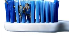 Dinosaurs toothbrush