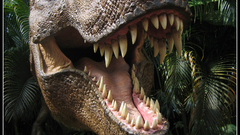 Dinosaurs Tyrannosaurus Rex