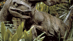 Dinosaurs Velociraptor Jurassic Park