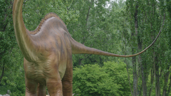 Diplodocus Dino Animals