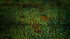 Dirty Textures Green grunge cracks ground