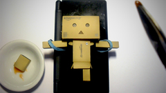 Dish blue eyes surgery