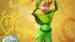 Disney Company Fairies (movie)