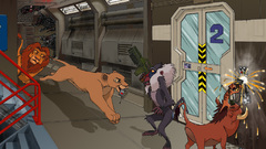 Disney Company Simba The