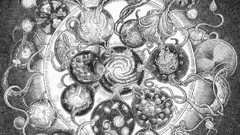 Distance album covers