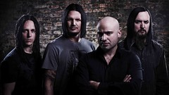 Disturbed