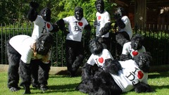 DJ gorillas Downtown jungle