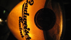 Does hr like relatedand