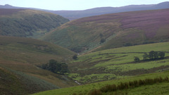 Does This qualify high