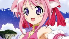 Dog days Firianno Biscotti Millhiore