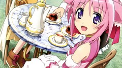 Dog days Firianno Biscotti Millhiore