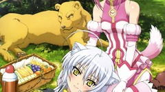 Dog days Leonmitchelli Galette Des Rois Firianno Biscotti 