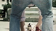 Dogs campaign cities motivational posters