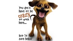 Dogs crazy slogan
