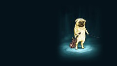 Dogs pug violins minimalistic adventure time fantasy art