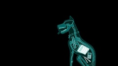 Dogs X-ray