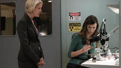 Dollhouse summer glau