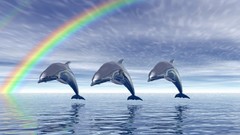 Dolphins ) With rainbow