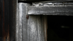 Door frame monochrome photography