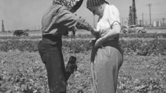 Dorothea lange being shown