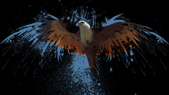 Doubleeagle redundant shopping is