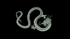 Dragon abstract signs Swirl