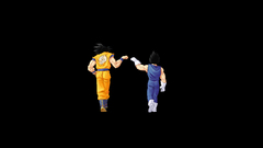 Dragon Ball Z black