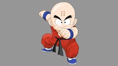 Dragon Ball Z Krillin