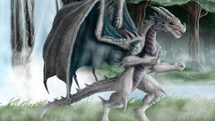 Dragons fantasy art White Dragon