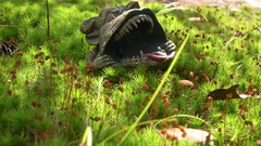 Dragons grass sculptures