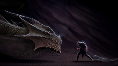 Dragons Knights weapons Warriors