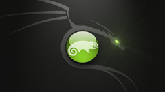 Dragons Linux opensuse Animals