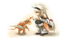 Dragons Monster Hunter white