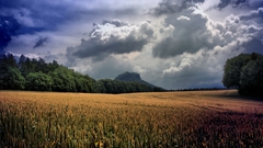Dramatic sky clouds field