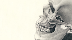 Drawing skull abstract bone