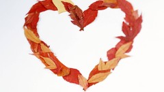 Dreams red love Hearts valentines day amour