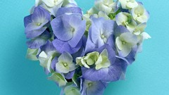 Dreams red love Hearts valentines day amour