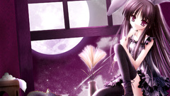 Dress cats moon animal