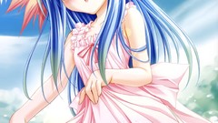 Dress cats Pigeons game