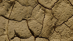 Dried Earth high