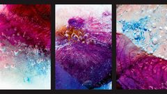 Drink juice fruit ice