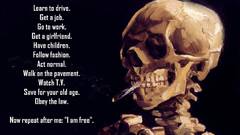 Driving law children TV