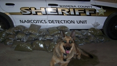 Drug bust verndale high