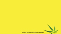 Drugs little marijuana pot